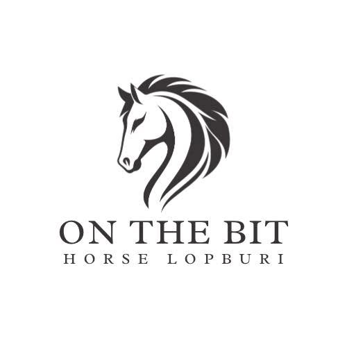 On the Bit Logo